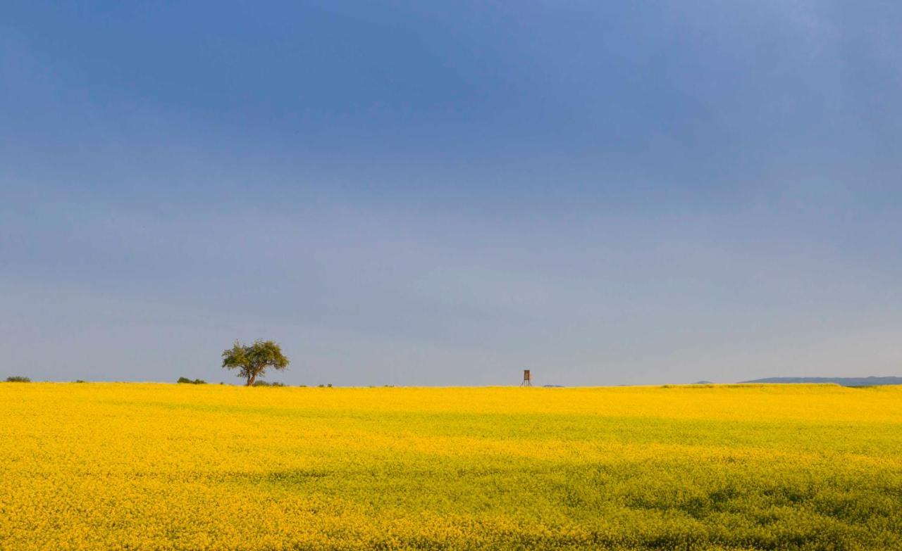 Penthaus Regine Daire Bruchhausen  Dış mekan fotoğraf